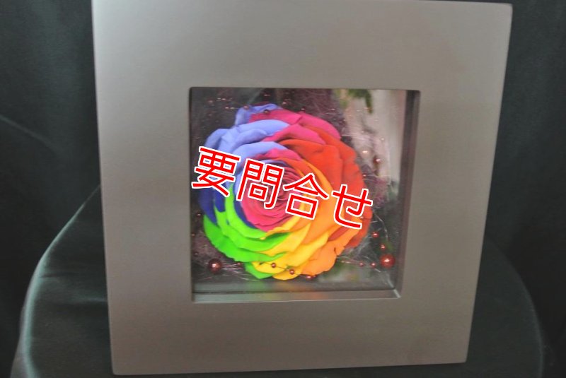 画像1: プリザーブドフラワー　大輪プリザ レインボー (1)