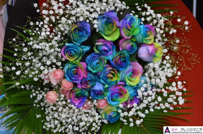 沖縄でプロポーズに贈るレインボーローズ20本の花束｜花屋