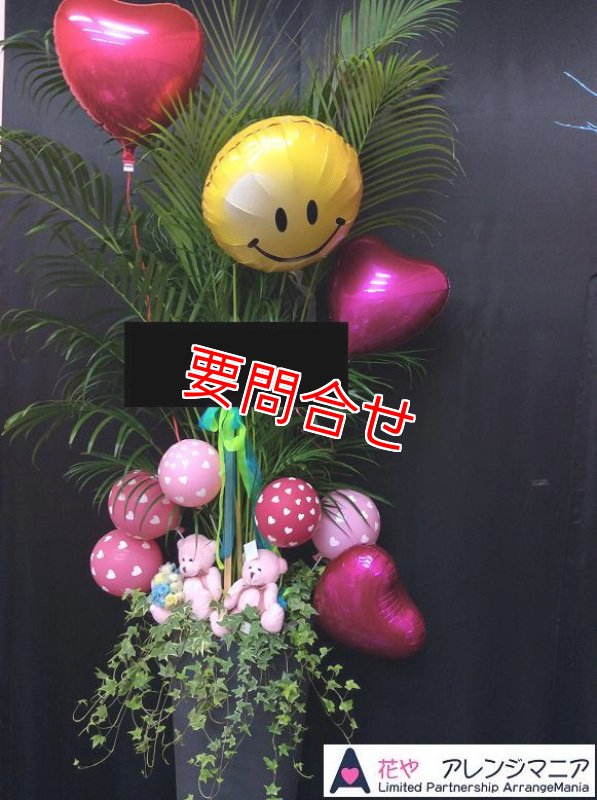 画像1: 観葉植物　バルーンデコレーション【予算40000円】 (1)