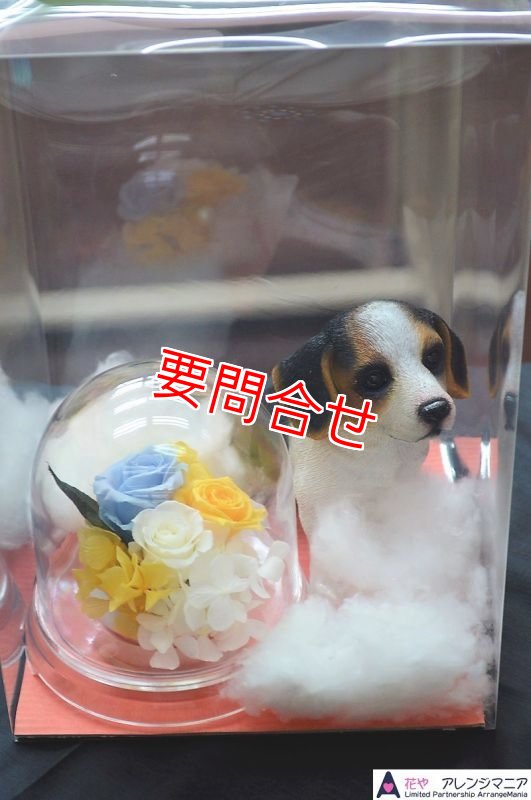 画像1: プリザーブドフラワー　いぬボックス　【予算 8000円】 (1)