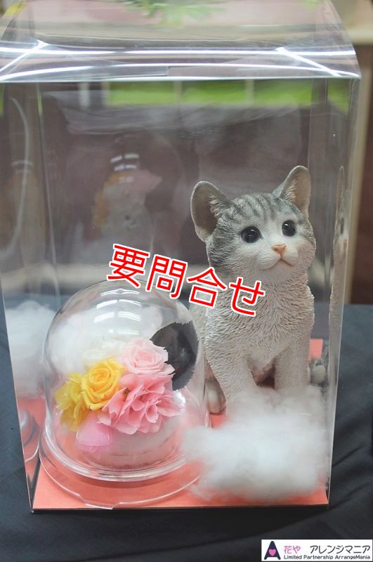 画像1: プリザーブドフラワー　ねこボックス　【予算 8000円】 (1)
