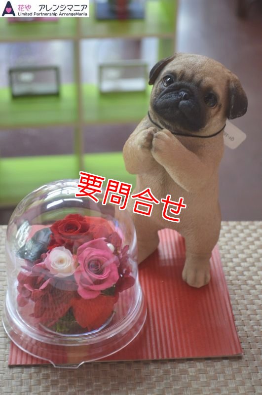 画像1: プリザーブドフラワー　パグたちボックス　【予算 8000円】 (1)