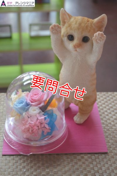 画像1: プリザーブドフラワー　猫たちボックス　【予算 8000円】 (1)