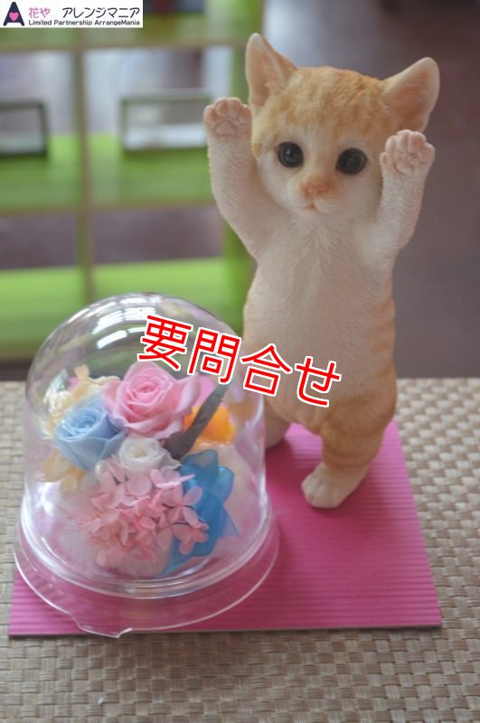 画像1: プリザーブドフラワー　猫たちボックス　【予算 8000円】 (1)