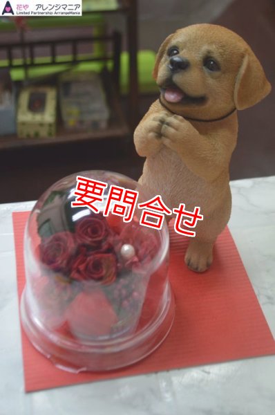 画像1: プリザーブドフラワー　犬たちボックス　【予算 8000円】 (1)