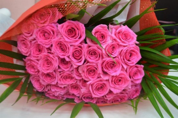 画像1: ピンクのばら　プロポーズ用花束 (1)