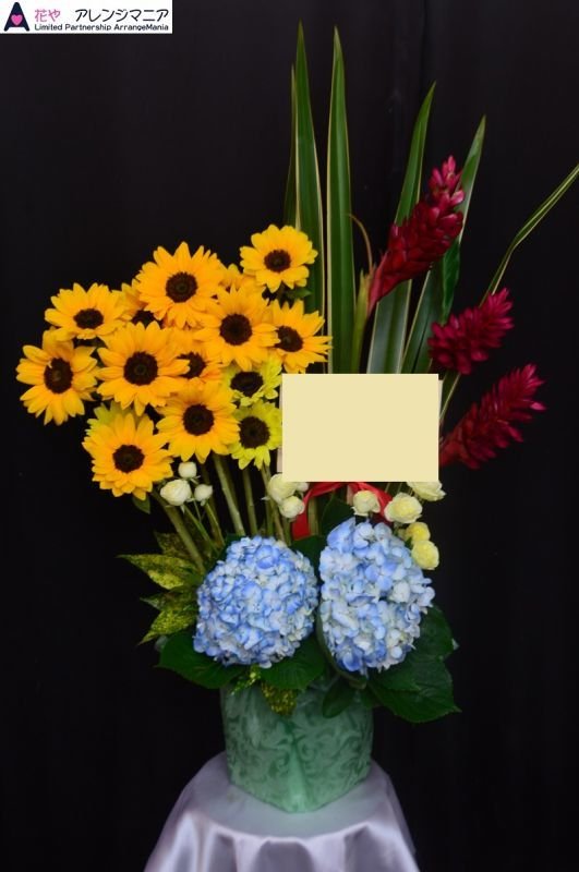 画像1: 花お任せ　アレンジ【予算10000円】 (1)