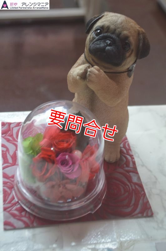 画像1: プリザーブドフラワー　お願いパグ ボックス　【予算 8000円】 (1)