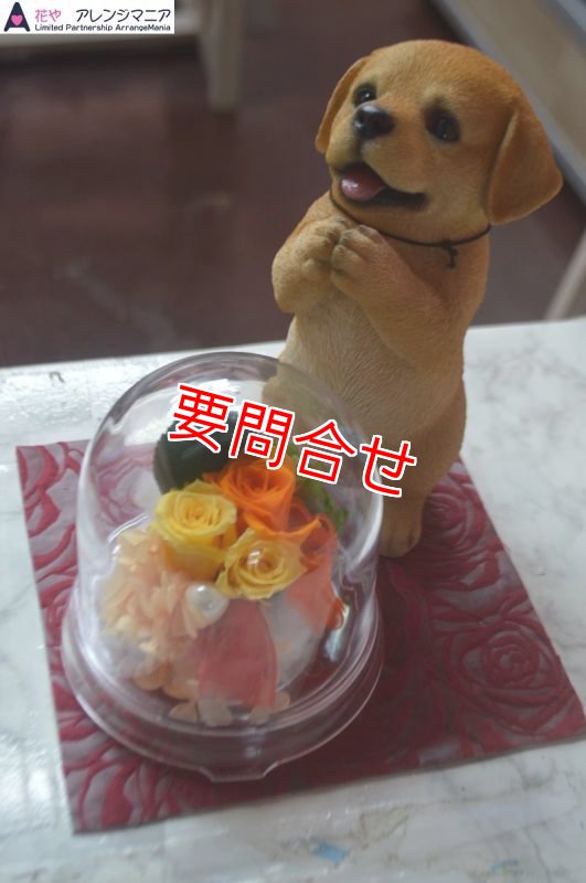 画像1: プリザーブドフラワー　犬たちボックス　【予算 8000円】 (1)