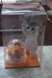 画像2: プリザーブドフラワー　猫たちボックス　【予算 8000円】 (2)