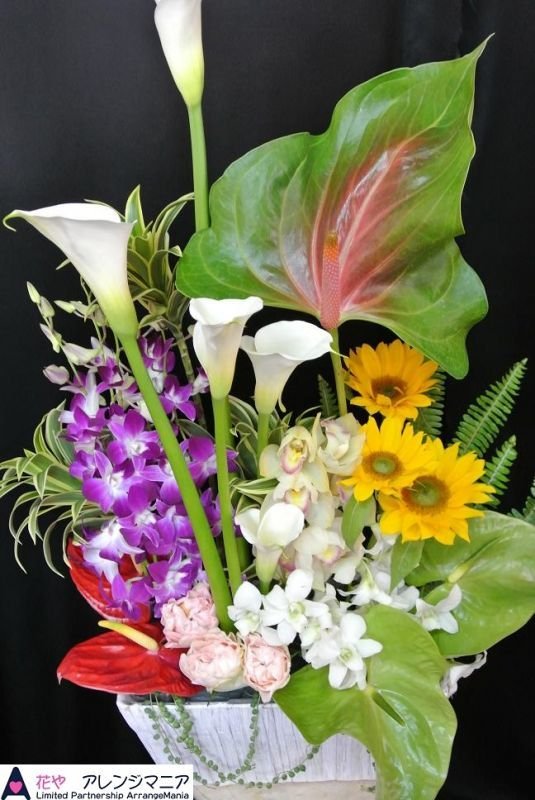 画像1: 花お任せ　アレンジ　予算で選ぶ【予算10000円】 (1)