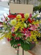 画像4: スタンド花　季節のお花でお任せ　1段【予算　15000円】 (4)
