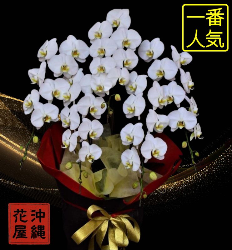 画像1: 移転祝いに人気No.1 胡蝶蘭 5本立ち 大輪白｜沖縄の花屋 (1)