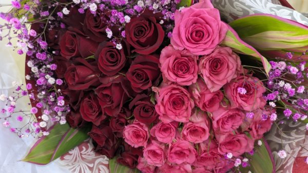 画像1: プロポーズ用│ピンク系　バラ40本＆かすみ草＆アレカヤシ　花束【予算35000円】 (1)