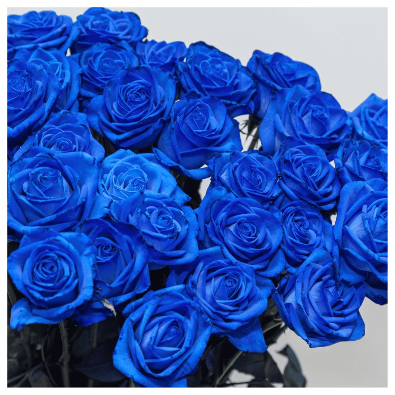 画像1: 青薔薇　30本　カスミソウ　花束 (1)